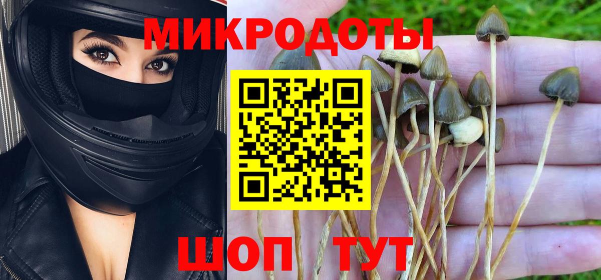 купить наркотик  Вход с VPN  Полысаево  Галлюциногенные грибы Cubensis  Галлюциногенные грибы Psilocybe 